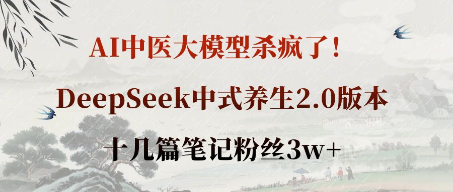 AI中医大模型杀疯了！DeepSeek中式养生2.0版本，十几篇笔记粉丝3w+-项目网