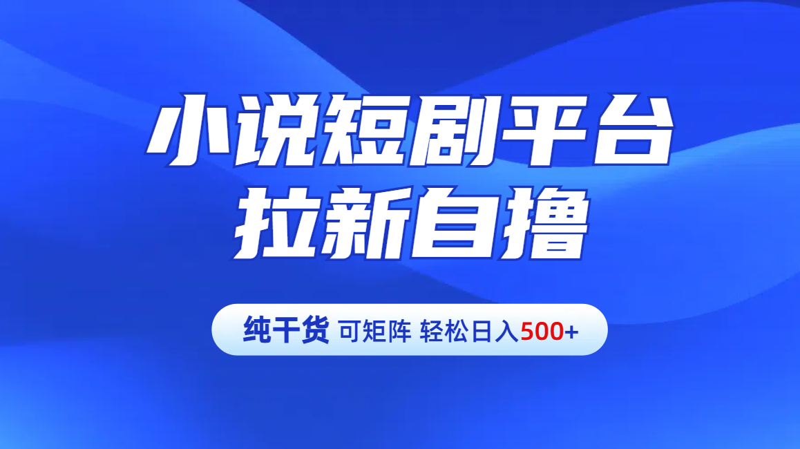 【纯干货】小说短剧平台拉新自撸玩法详解-单人轻松日入500+-项目网