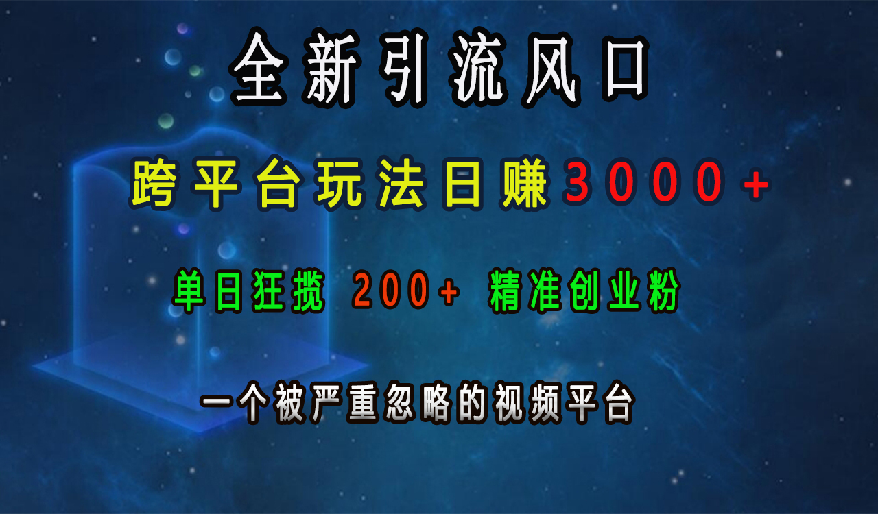 全新引流风口，跨平台玩法日赚3000+，单日狂揽200+精准创业粉，一个被严重忽略的视频平台-项目网