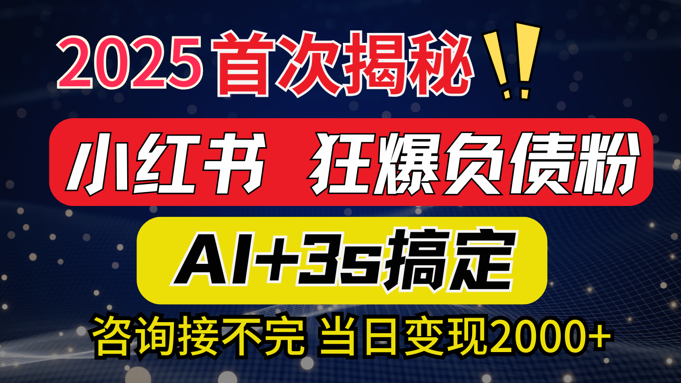 2025引流天花板：最新小红书狂暴负债粉思路，咨询接不断，当日入2000+-项目网