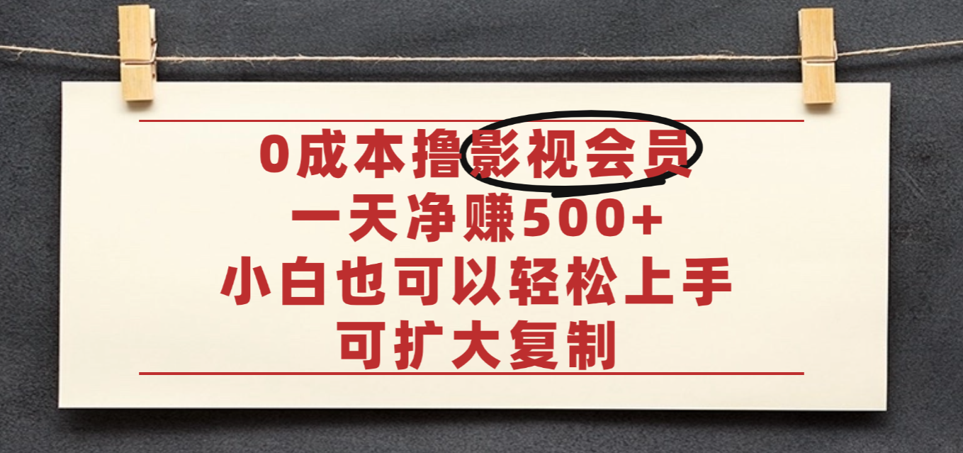 亲测，0成本可批量操作，靠卖影视会员实测月入30000+-项目网
