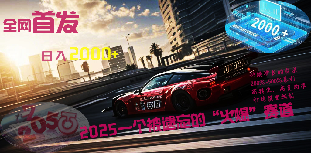 全网首发：2025一个被遗忘的“火爆”赛道轻松日入2000+-项目网