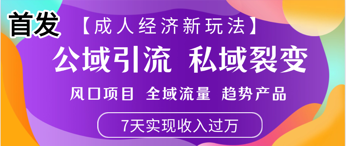 首发：【成人经济新玩法】市面独家玩法，风口项目、全域流量、趋势产品，7天实现月入过万-项目网
