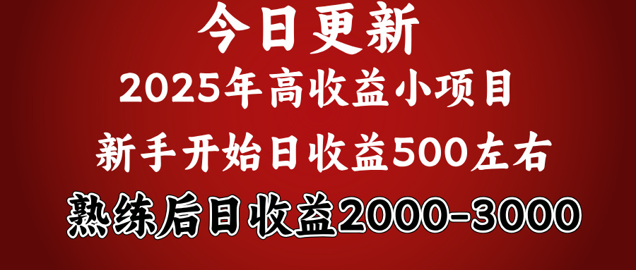 2025开年好项目，新手日收益500+ 熟练掌握后，日收益平均2000多-项目网