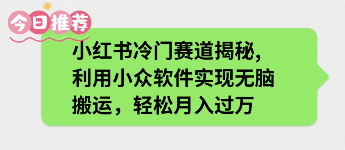 小红书冷门赛道揭秘,利用小众软件实现无脑搬运，轻松月入过万-项目网