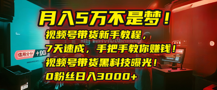 月入5万不是梦！视频号带货新手教程，7天速成，手把手教你赚钱！视频号带货黑科技曝光！0粉丝日入3000+-项目网