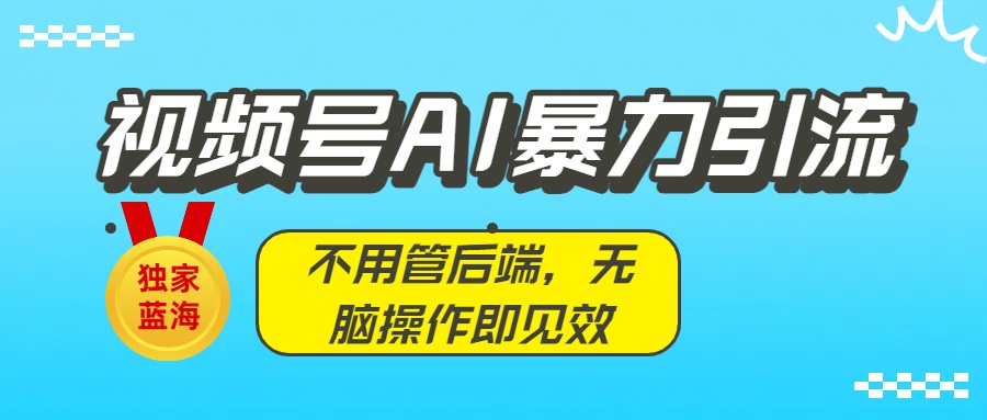 独家蓝海！视频号AI暴力引流：不用管后端，无脑操作即见效-项目网