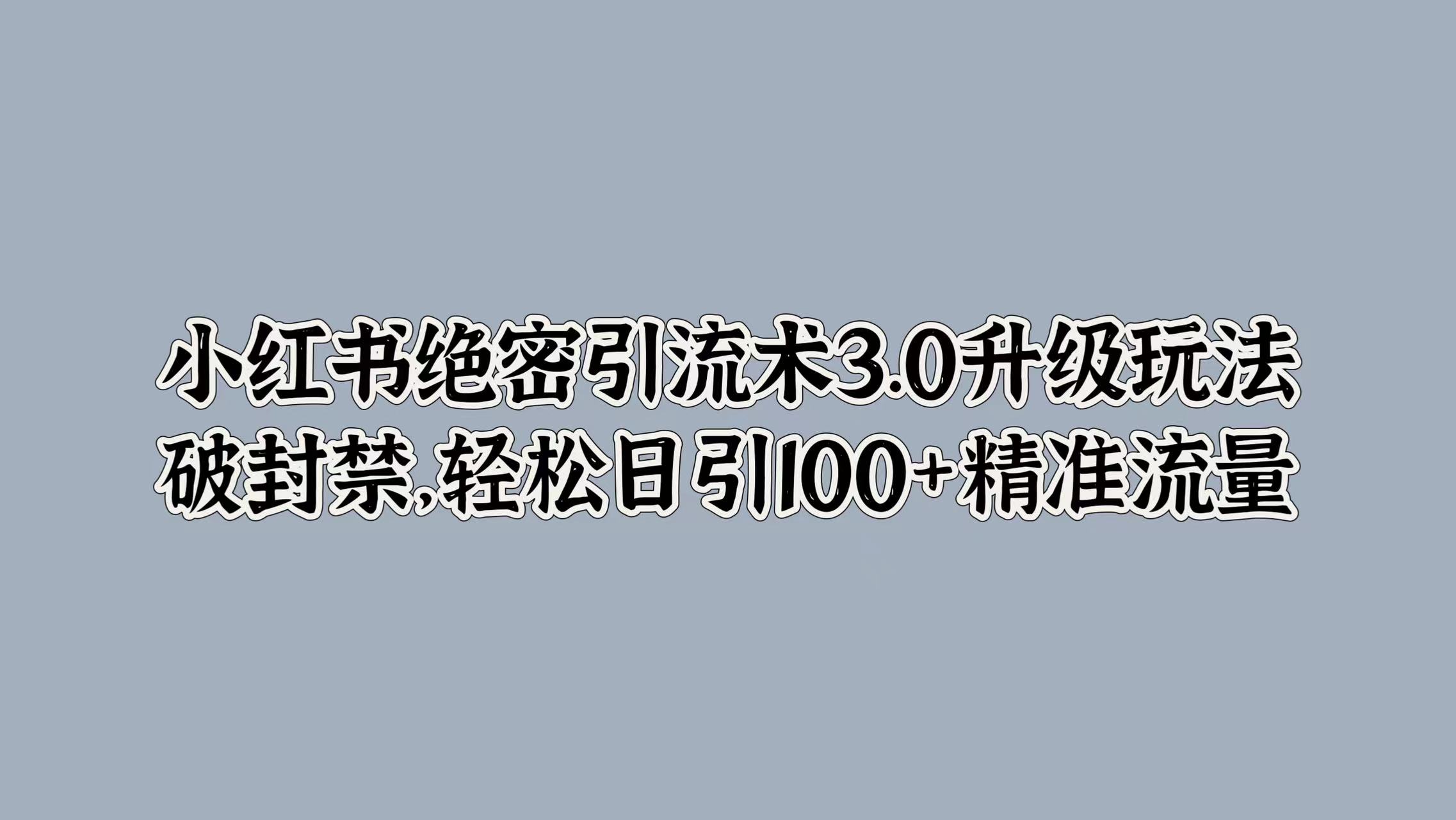 小红书绝密引流术3.0升级玩法，破封禁，轻松日引100+精准流量-项目网