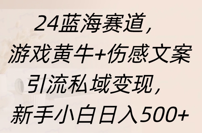 24蓝海赛道，游戏黄牛+伤感文案引流私域变现，新手日入500+-项目网