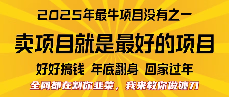 全网都在割你韭菜,我来教你做镰刀。卖项目就是最好的项目,2025年最牛互联网项目-项目网