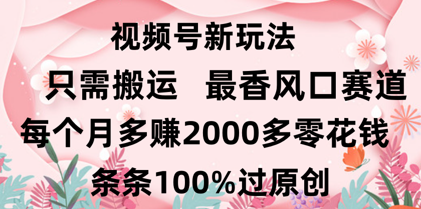 日入2000+，条条100%过原创，视频号最香风口赛道，小白轻松上手-项目网