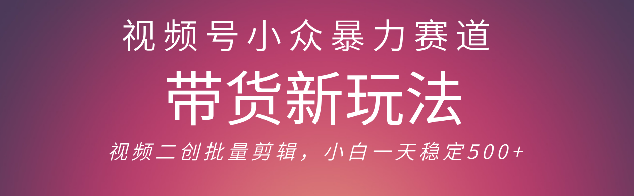 视频号小众暴力赛道，最新带货玩法 小白也能轻松日入500+ 保姆及教程-项目网
