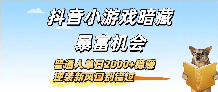抖音小游戏暗藏暴富机会！普通人单日2000+稳赚，逆袭新风口别错过-项目网