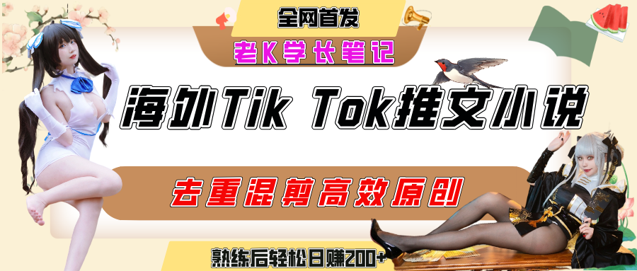海外tiktok小说推文暴力项目，高停留率，高转化率，上手后一天搞顿饭钱不是问题-项目网