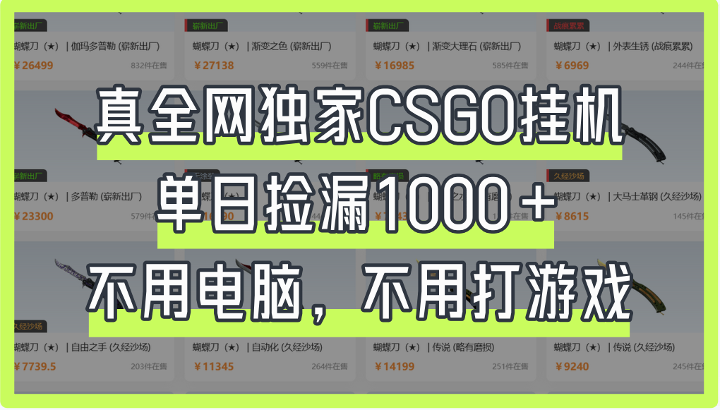 真全网独家CSGO挂机，单日捡漏1000+-项目网