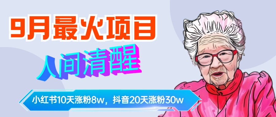 9月最火项目，人间清醒柒奶奶，10天小红薯涨粉8w+，单篇笔记报价1400.-项目网