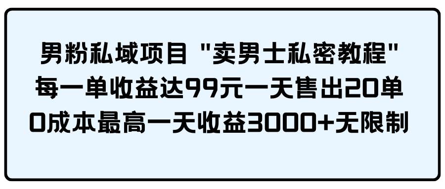 男粉私域项目 卖男士私密教程 每一单收益达99元一天售出20单-项目网