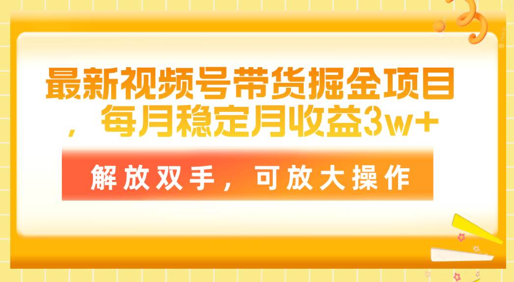 最新视频号带货掘金项目，每月稳定月收益3w+，解放双手，可放大操作-项目网