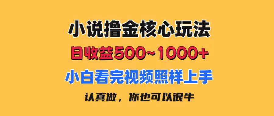 小说撸金核心玩法，日收益500-1000+，小白看完照样上手，0成本有手就行-项目网