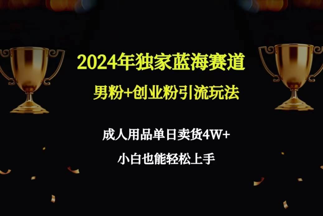 2024年独家蓝海赛道男粉+创业粉引流玩法，成人用品单日卖货4W+保姆教程-项目网