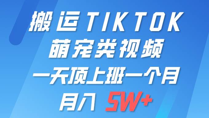 一键搬运TIKTOK萌宠类视频 一部手机即可操作 所有平台均可发布 轻松月入5W+-项目网