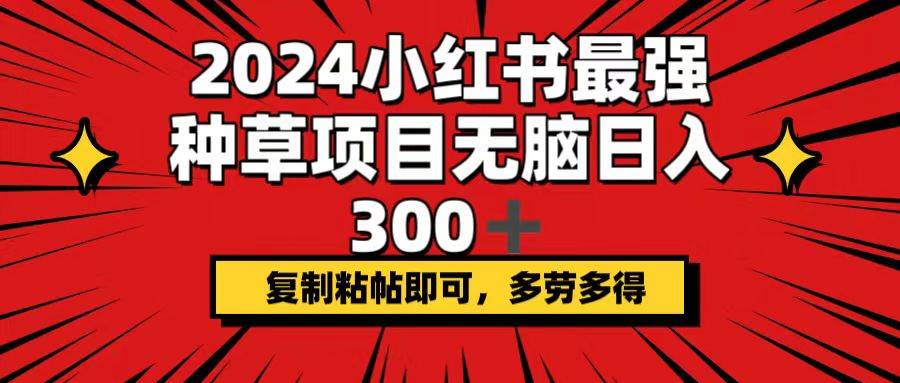 2024小红书最强种草项目，无脑日入300+，复制粘帖即可，多劳多得-项目网
