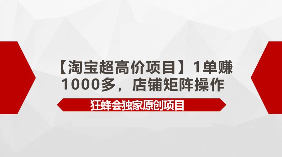【淘宝超高价项目】1单赚1000多，店铺矩阵操作-项目网