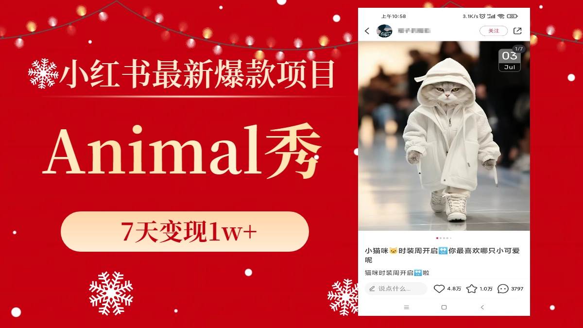 小红书最新爆款项目，Animal秀，7天变现1w+-项目网
