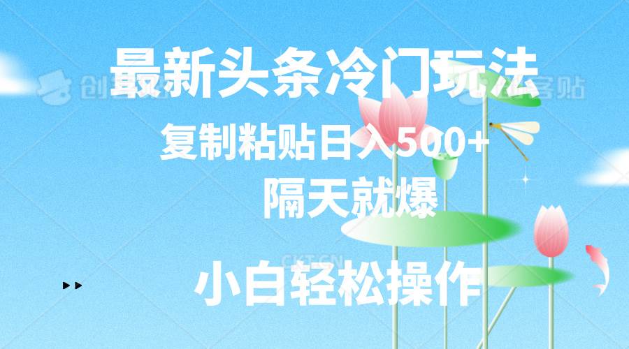 最新头条冷门玩法，隔天就爆，复制粘贴日入500+-项目网