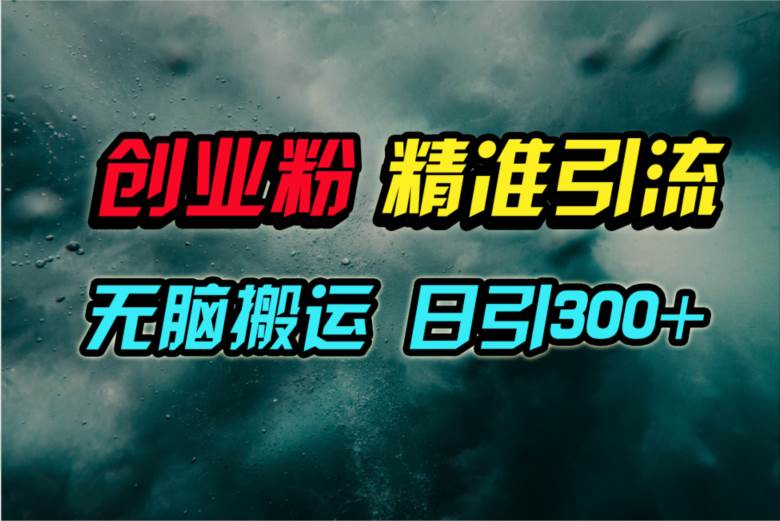 视频号纯搬运日引300+创业粉教程！-项目网