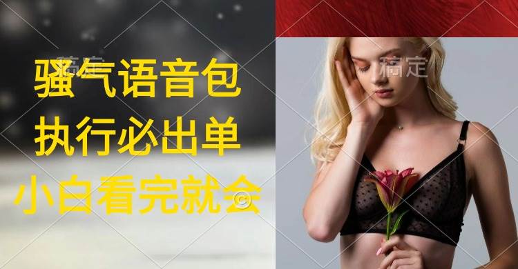 执行就出单，日入2000+，超火骚气语音包，小白看完课程就能马上实操-项目网