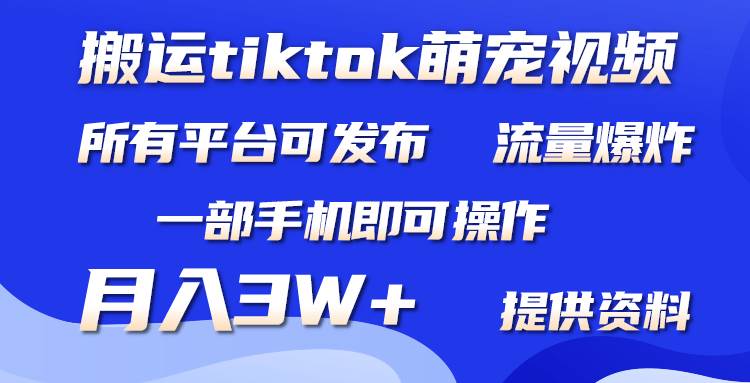 搬运Tiktok萌宠类视频，一部手机即可。所有短视频平台均可操作，月入3W+-项目网