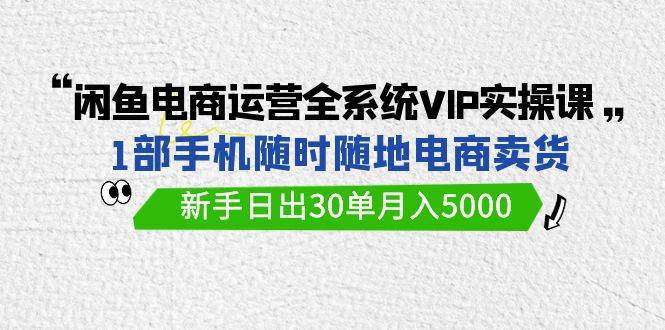 闲鱼电商运营全系统VIP实战课，1部手机随时随地卖货，新手日出30单月入5000-项目网