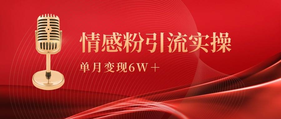 单月变现6w+，情感粉引流变现实操课-项目网