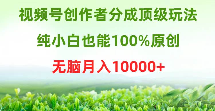 视频号创作者分成顶级玩法，纯小白也能100%原创，无脑月入10000+-项目网