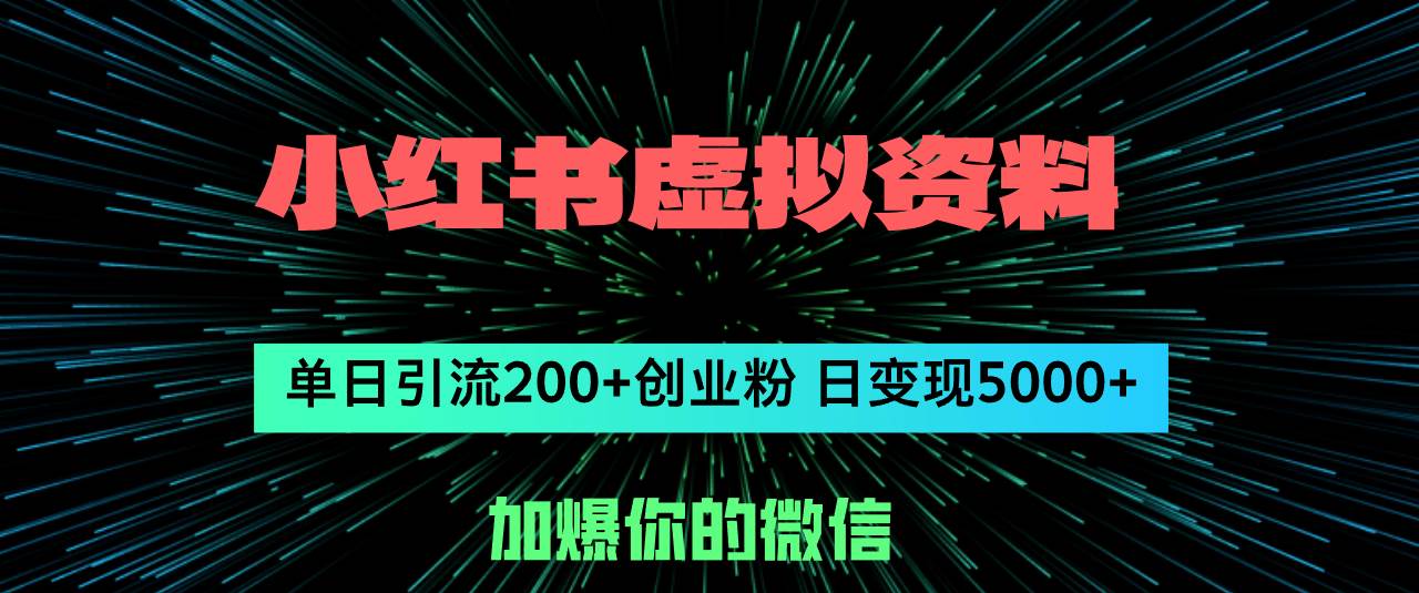 小红书虚拟资料日引流200+创业粉，单日变现5000+-项目网