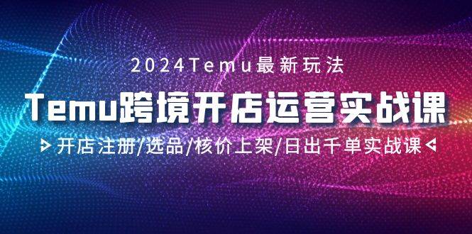 2024Temu跨境开店运营实战课，开店注册/选品/核价上架/日出千单实战课-项目网