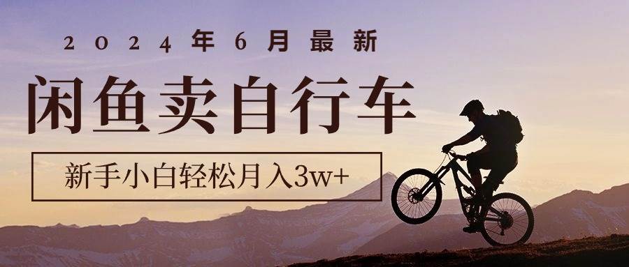 2024年6月最新闲鱼卖自行车，新手小白轻松月入3w+项目-项目网