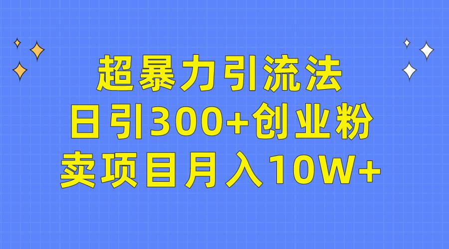 超暴力引流法，日引300+创业粉，卖项目月入10W+-项目网