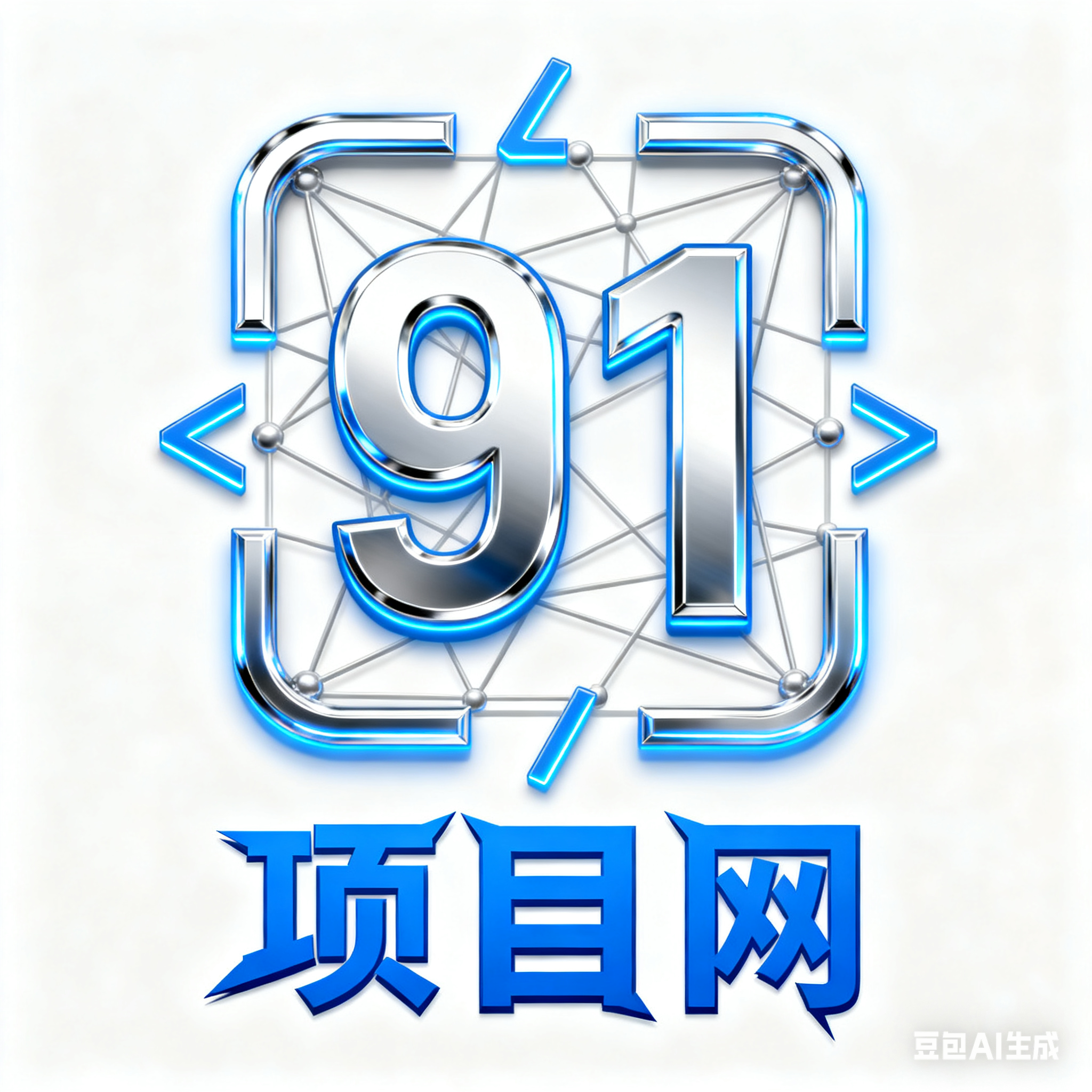 91项目网