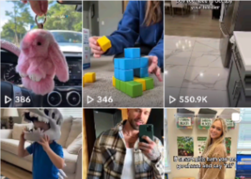 万字实操指南：Seedance联手TikTok带货，月入六位数可复制的全攻略-项目网