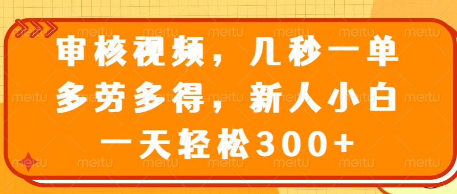 审核视频项目,几秒一单,多劳多得,新人小白一天轻松300+-项目网