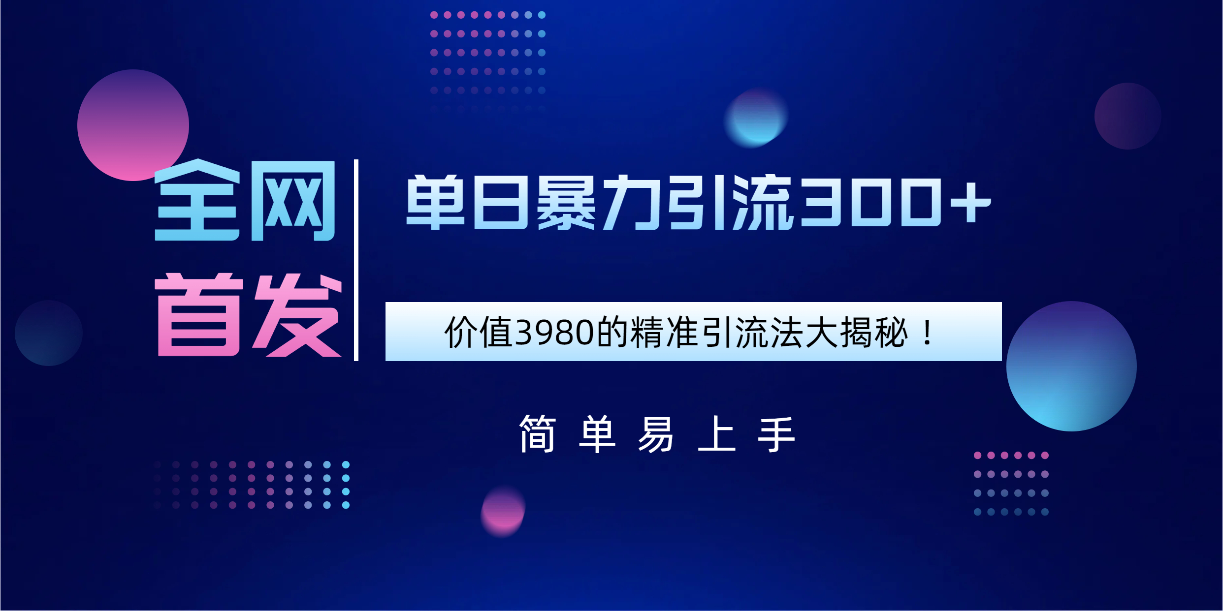 全网首发,价值3980单日暴力引流300+的精准引流法大揭秘!-项目网