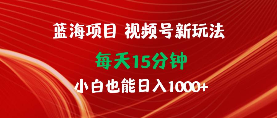 蓝海项目视频号新玩法 每天15分钟 小白也能日入1000+-项目网