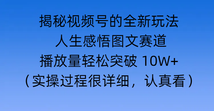 揭秘视频号的全新玩法 —— 人生感悟图文赛道-项目网