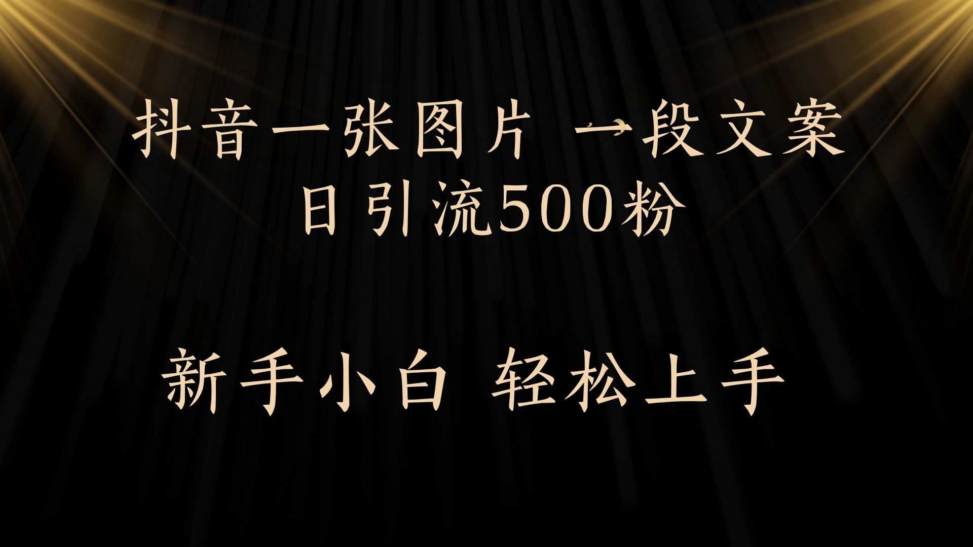 每天2分钟，抖音一张图片 一段文案日引流500粉-项目网