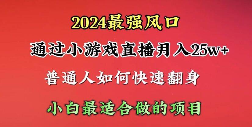 2024年最强风口，通过小游戏直播月入25w+单日收益5000+小白最适合做的项目-项目网