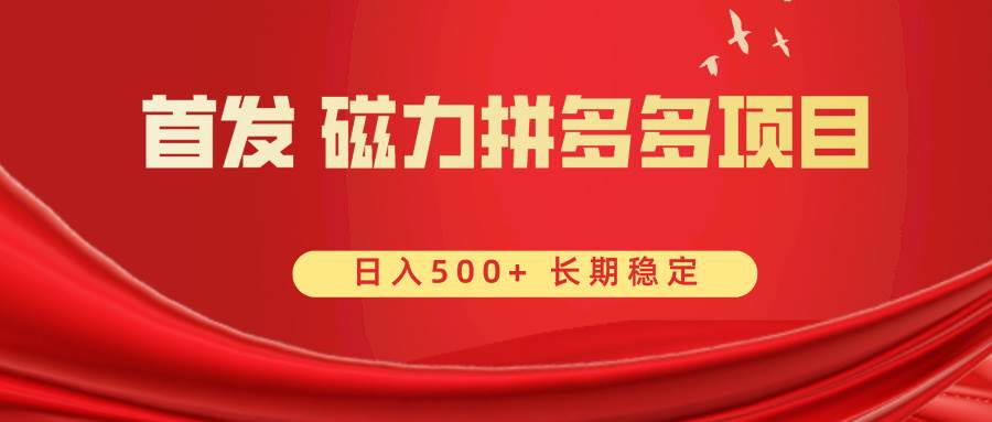 首发 磁力拼多多自撸  日入500+-项目网