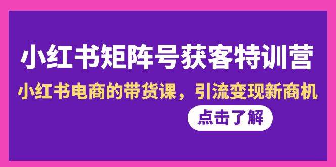 小红书-矩阵号获客特训营-第10期,小红书电商的带货课,引流变现新商机-项目网