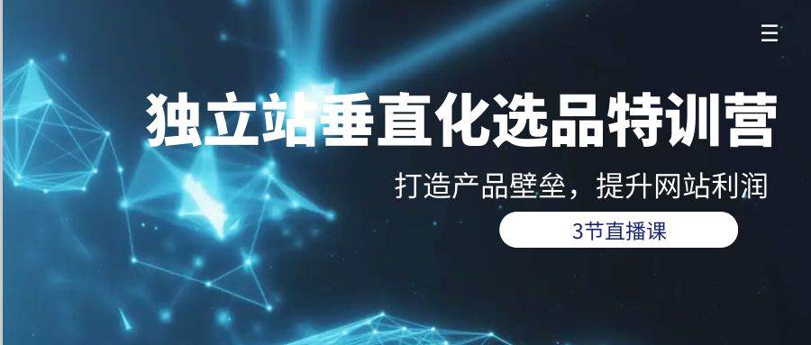 独立站-垂直化选品训练营，打造产品壁垒，提升网站利润（3节直播课）-项目网